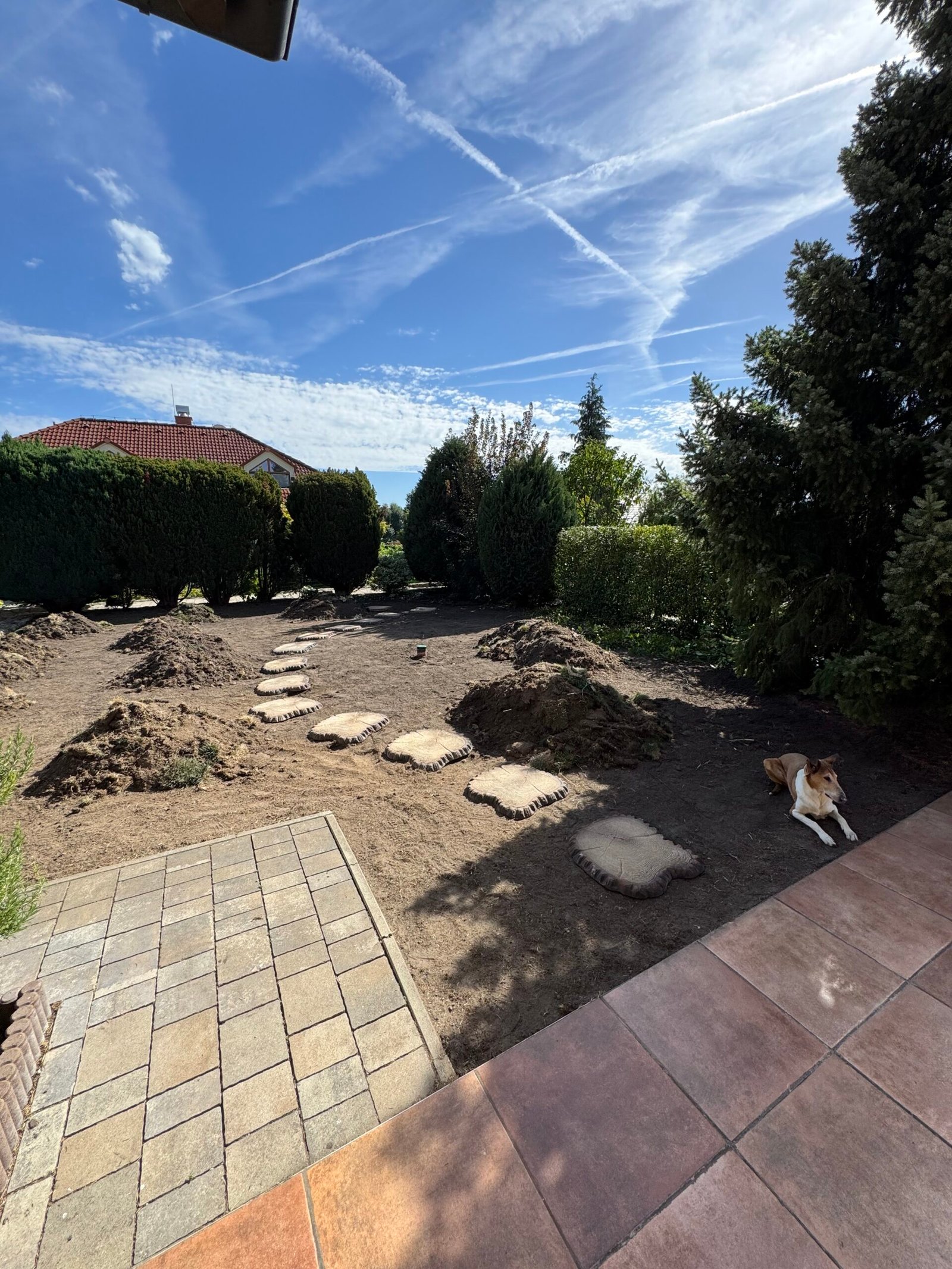 Gallery Masonry Image